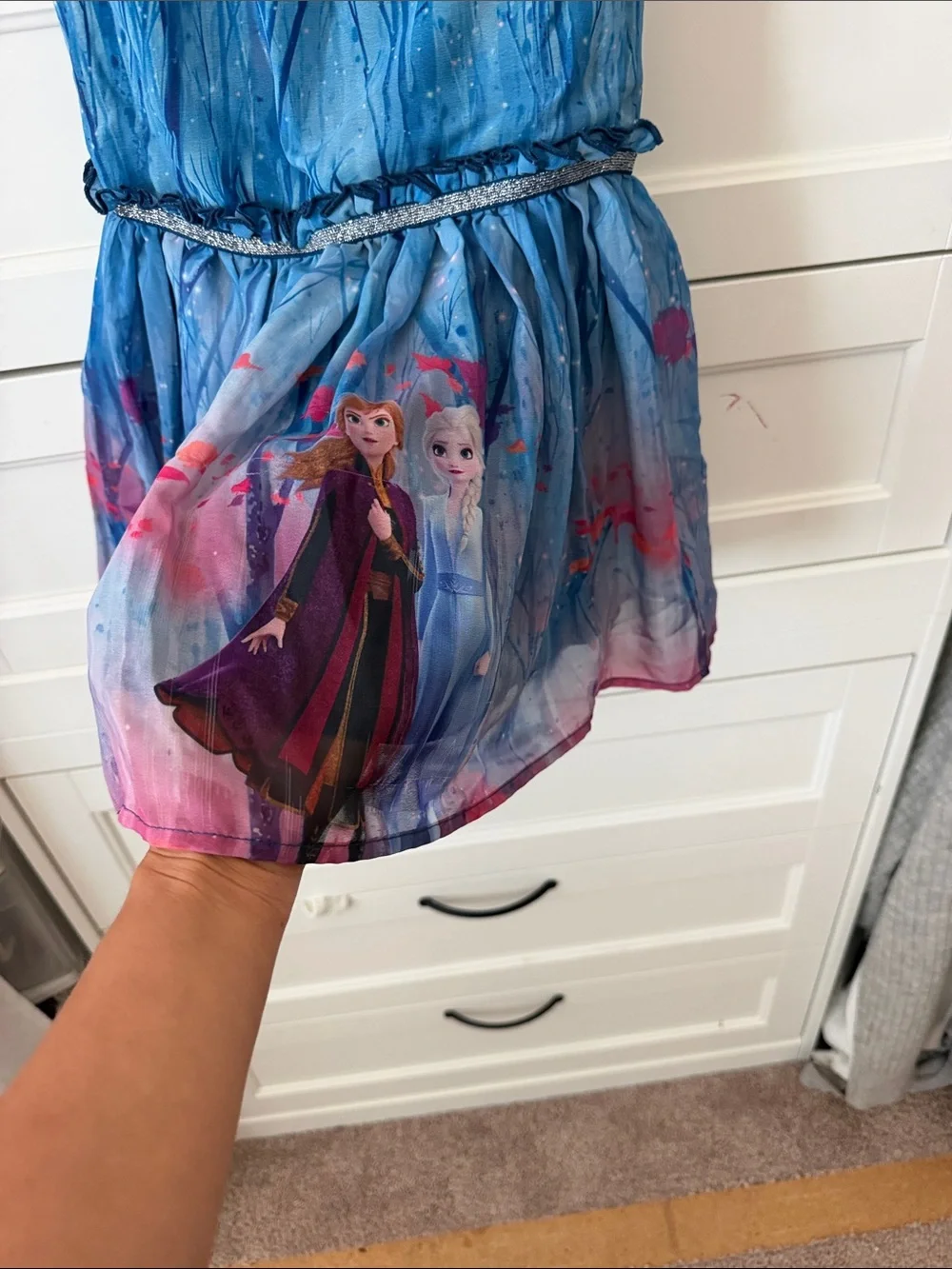 Disney Blue and Pink Frozen II Anna & Elsa Chiffon Party Dress